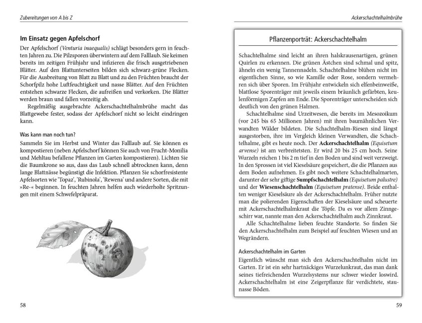additionalImage1