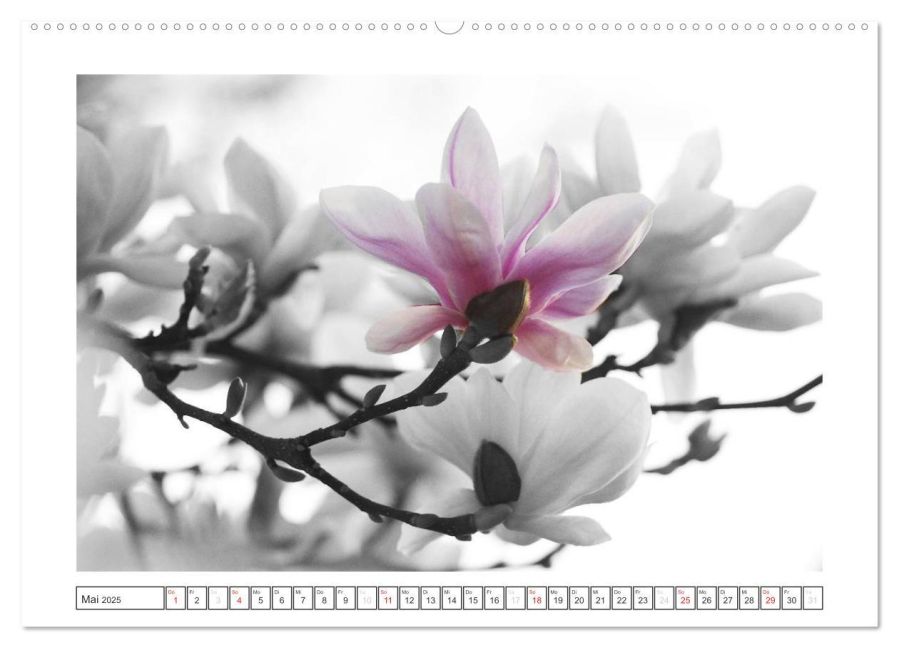 additionalImage9