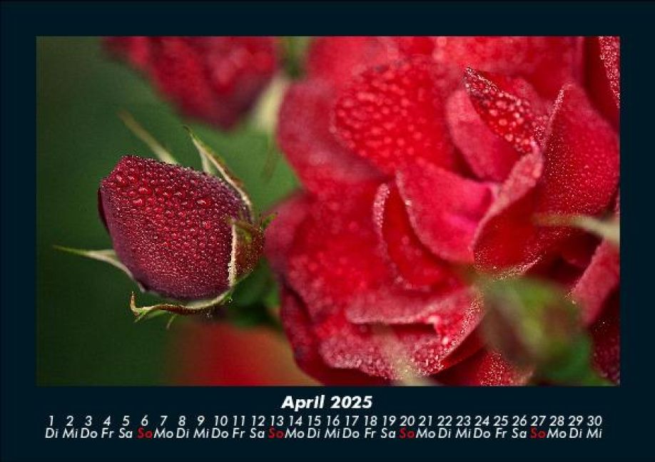additionalImage8