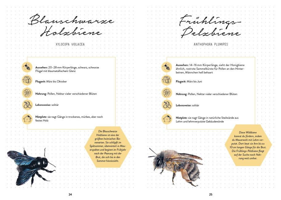 additionalImage6