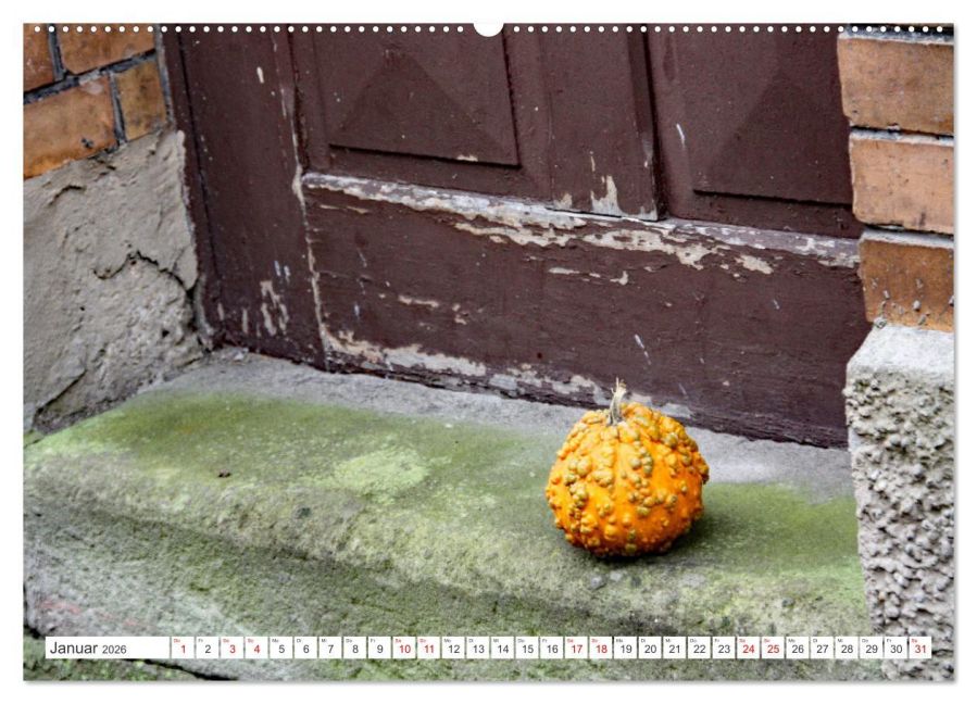 additionalImage6