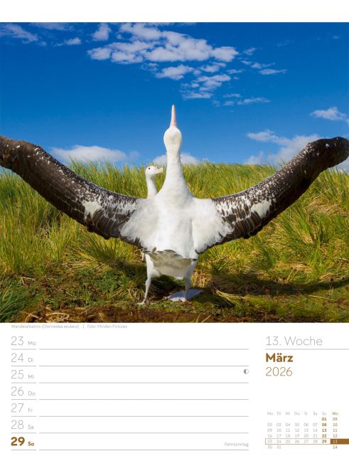 additionalImage16