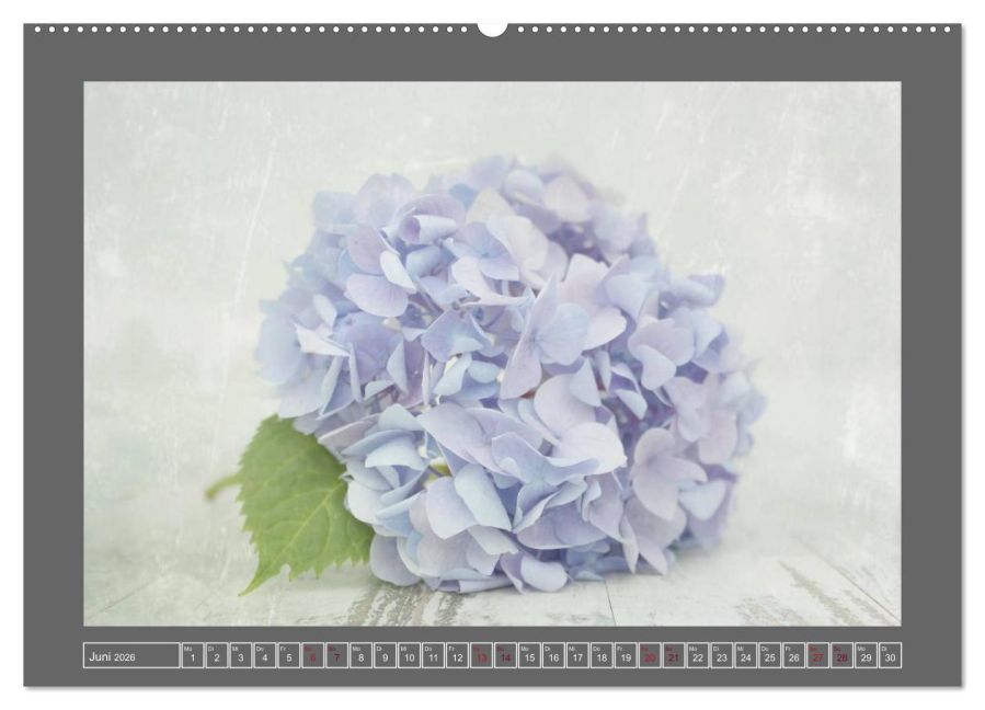 additionalImage11