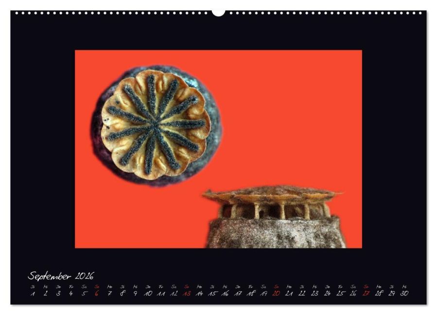 additionalImage13