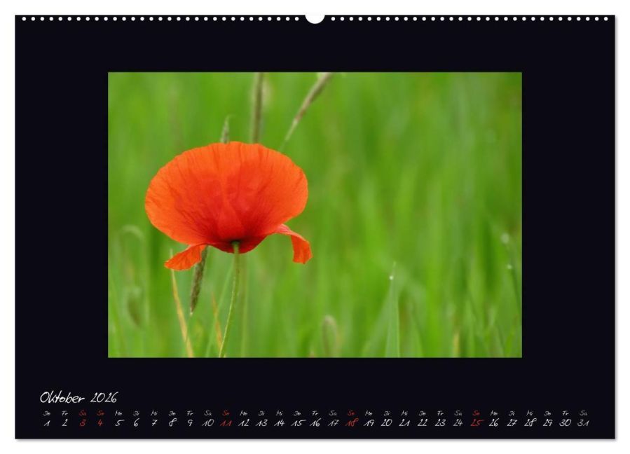 additionalImage1