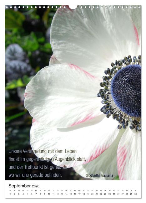 additionalImage14
