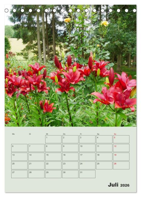 additionalImage12
