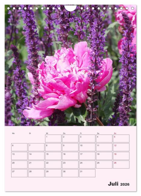 additionalImage12