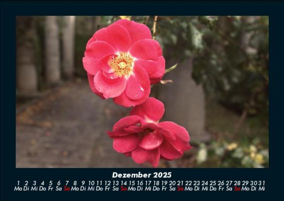 additionalImage4
