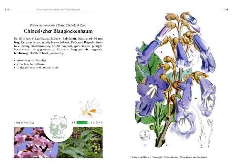 additionalImage2
