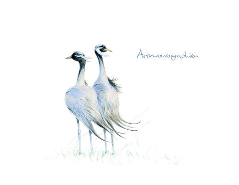 additionalImage1