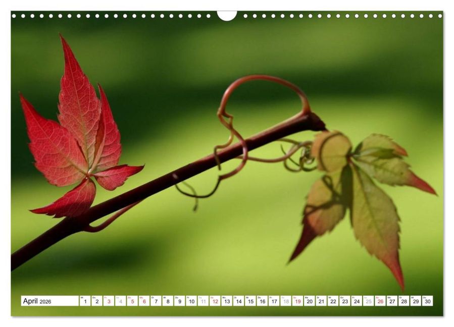 additionalImage9