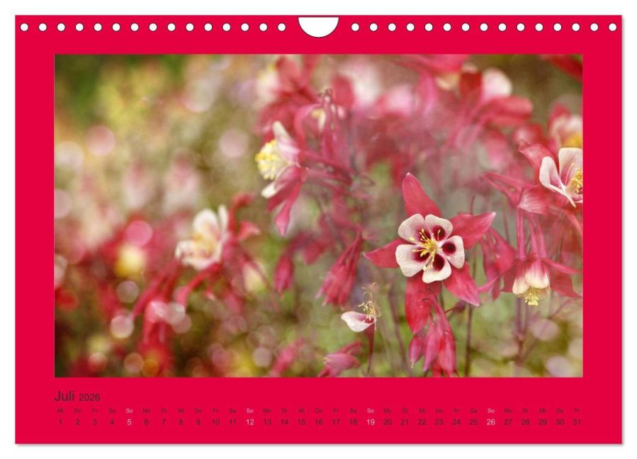 additionalImage12