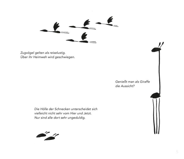 additionalImage7