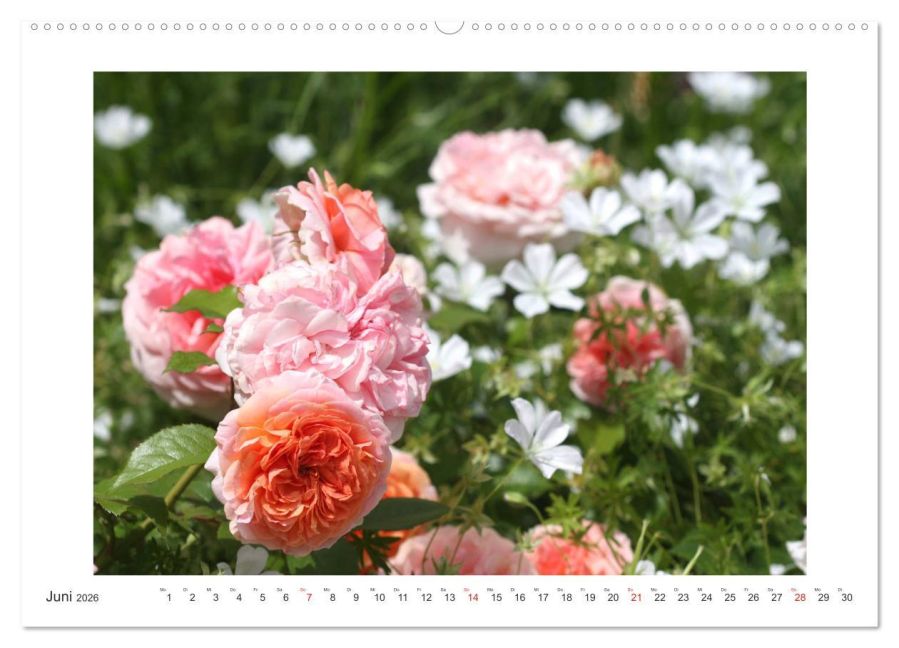 additionalImage11