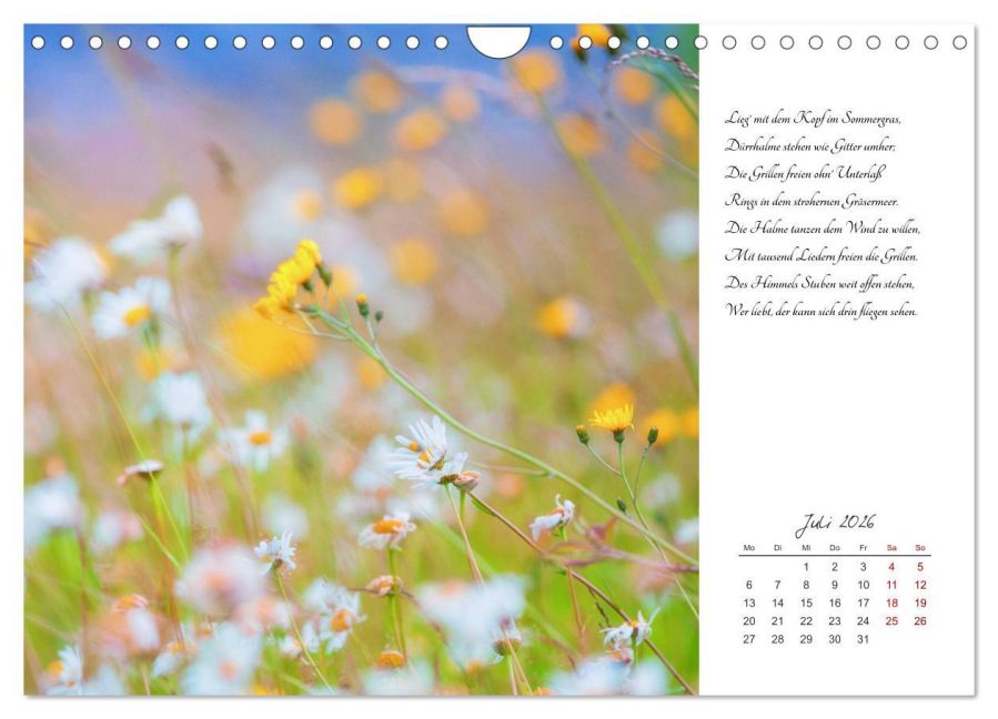 additionalImage12