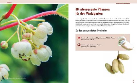 additionalImage3