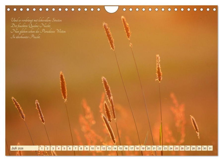 additionalImage12