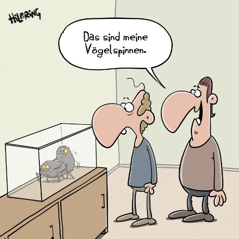 additionalImage9