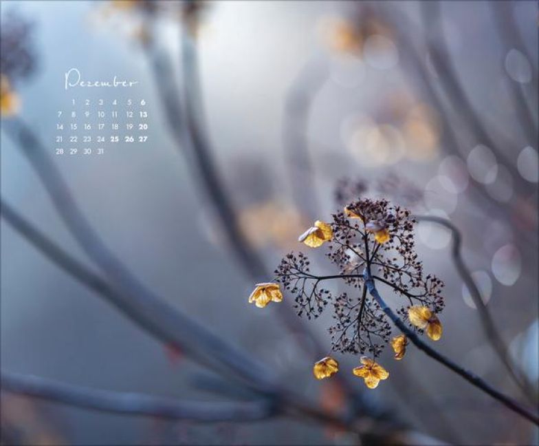 additionalImage12