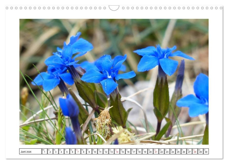 additionalImage11