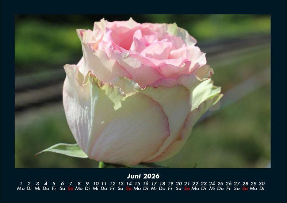 additionalImage10