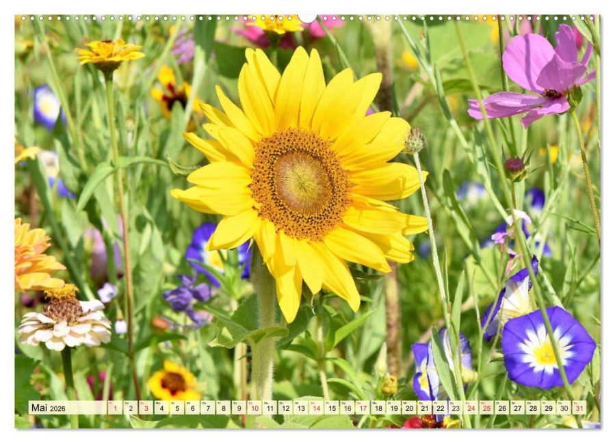 additionalImage10