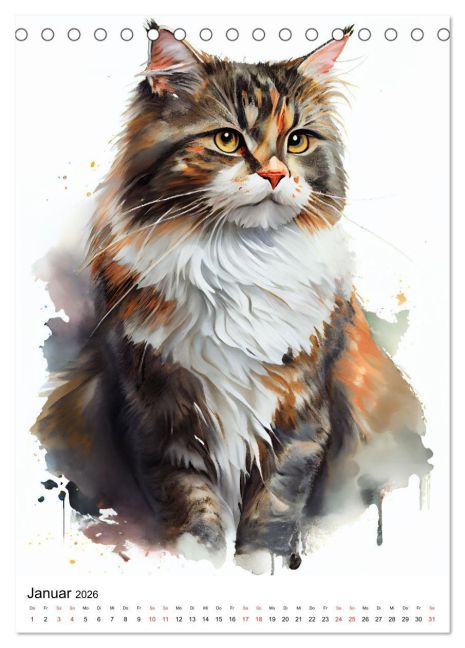 additionalImage6