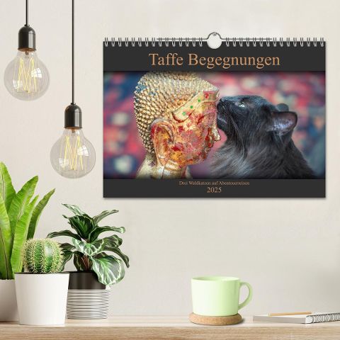 additionalImage1