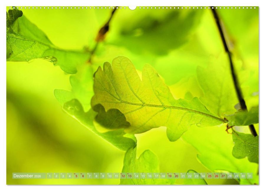 additionalImage4