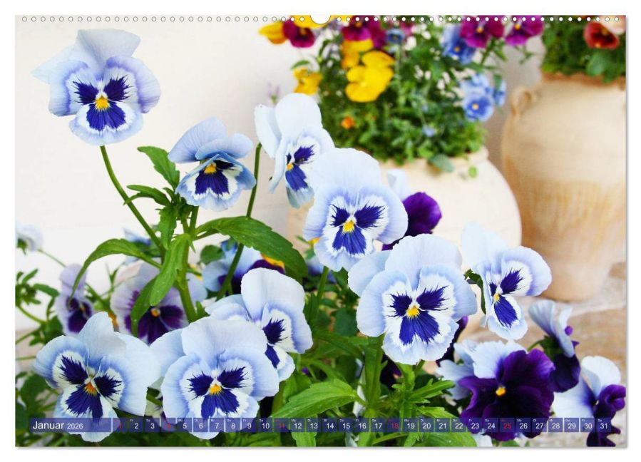 additionalImage5