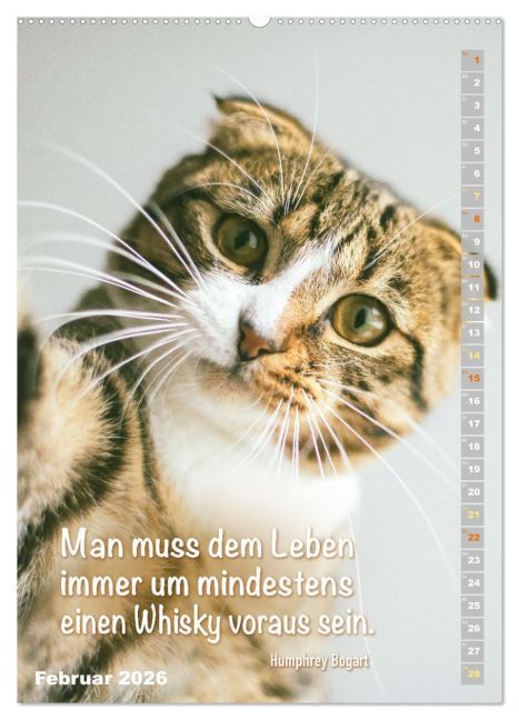 additionalImage6