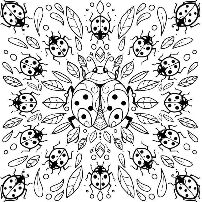 additionalImage5