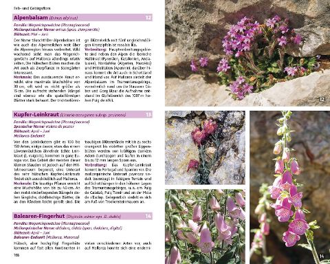 additionalImage6