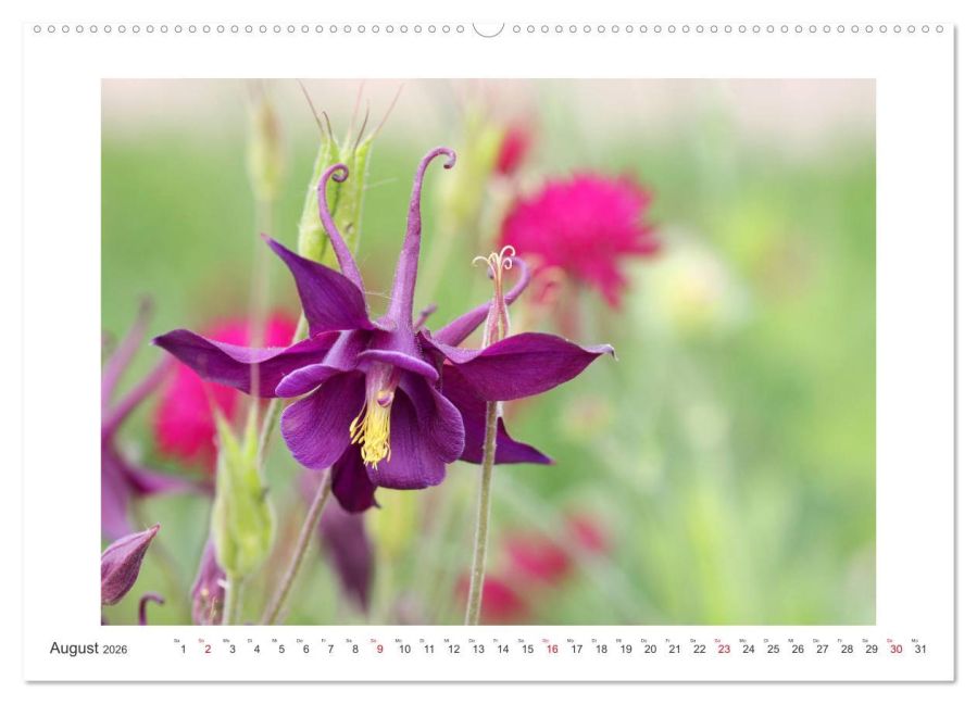 additionalImage12