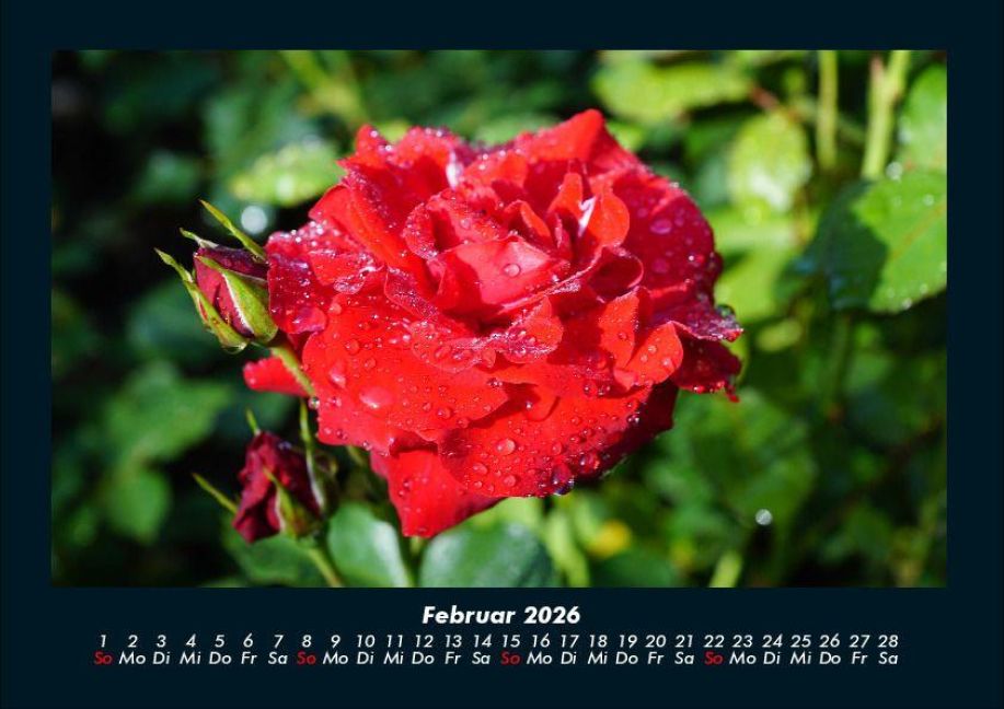 additionalImage6