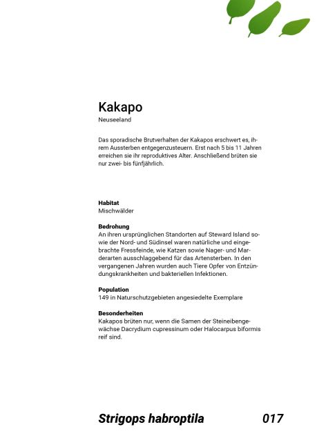 additionalImage2