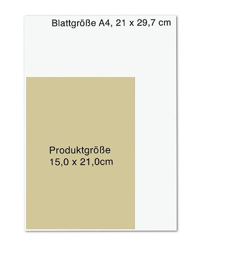 additionalImage8