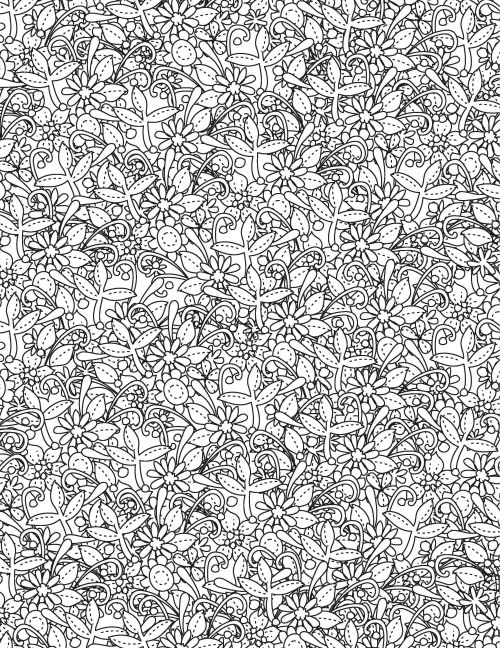 additionalImage4