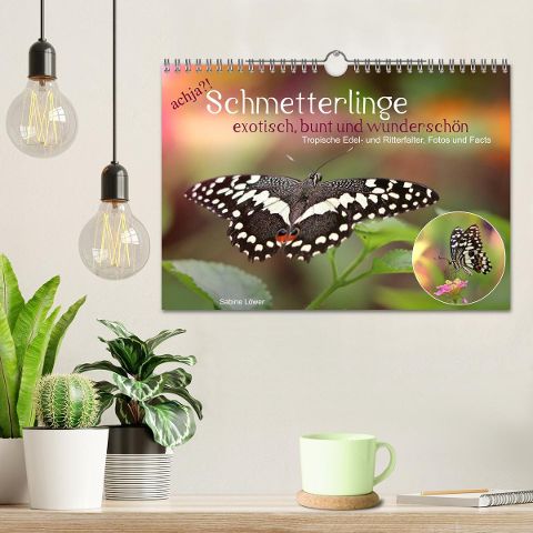 additionalImage1