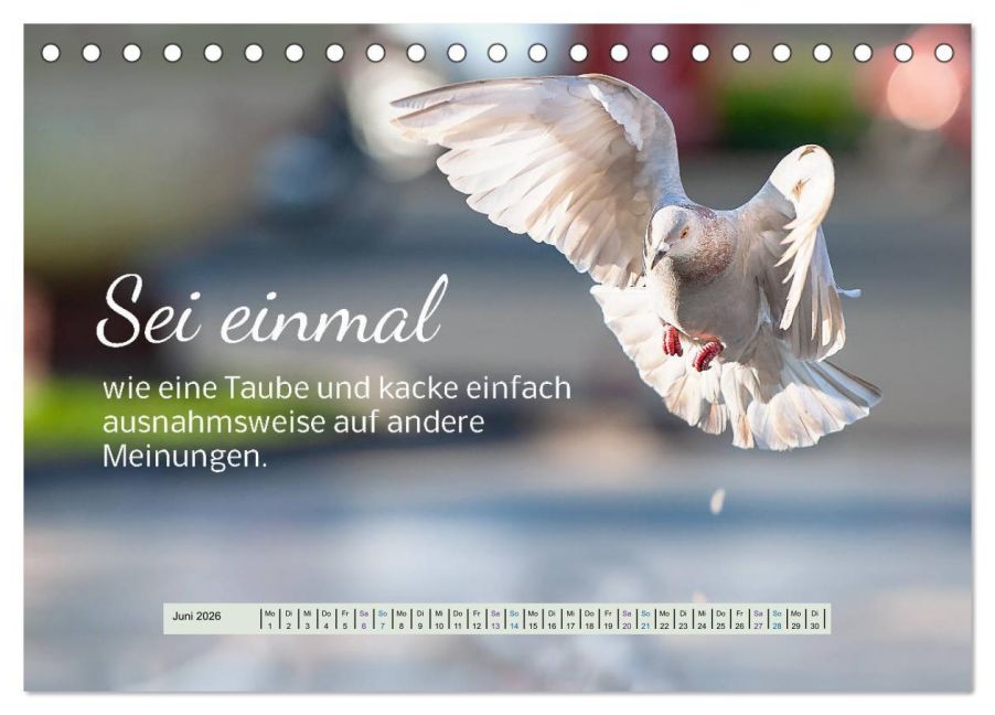 additionalImage11