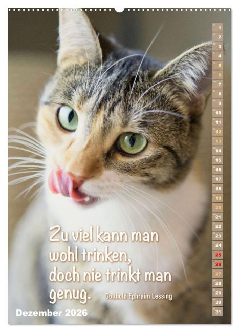 additionalImage4