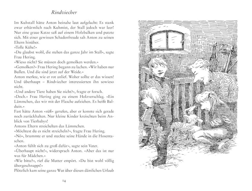 additionalImage1