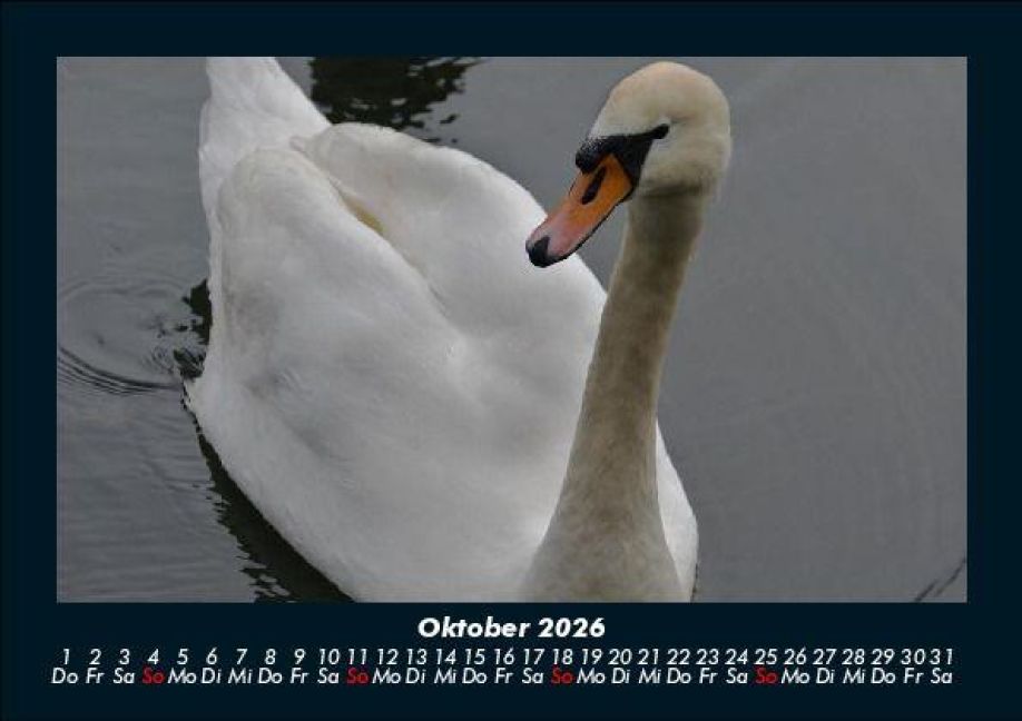 additionalImage2