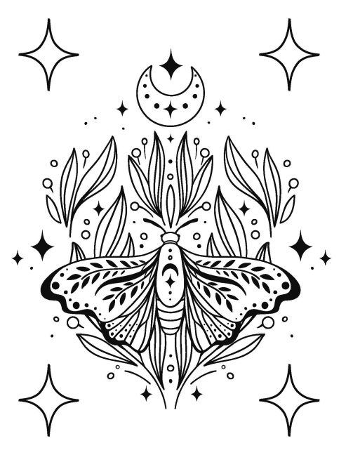 additionalImage5