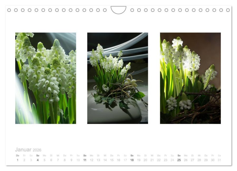 additionalImage6