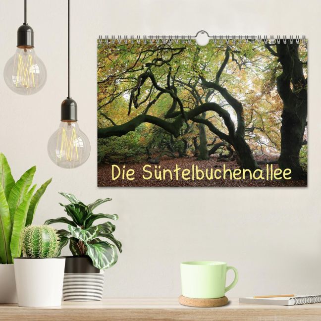 additionalImage1