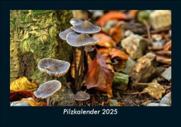 Cover-Bild zum Titel 'Pilzkalender 2025 Fotokalender DIN A5' von 'Tobias Becker'