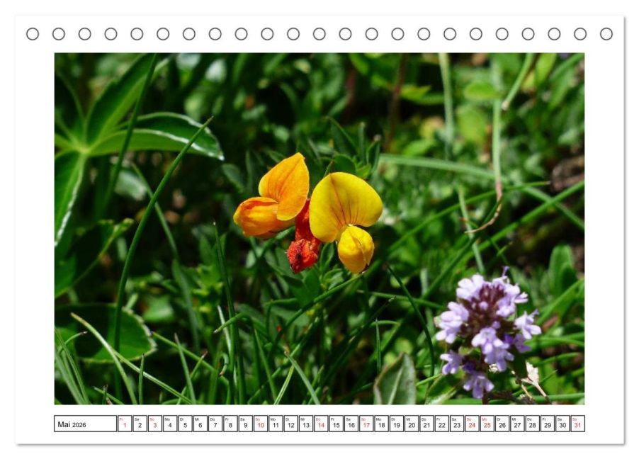 additionalImage10