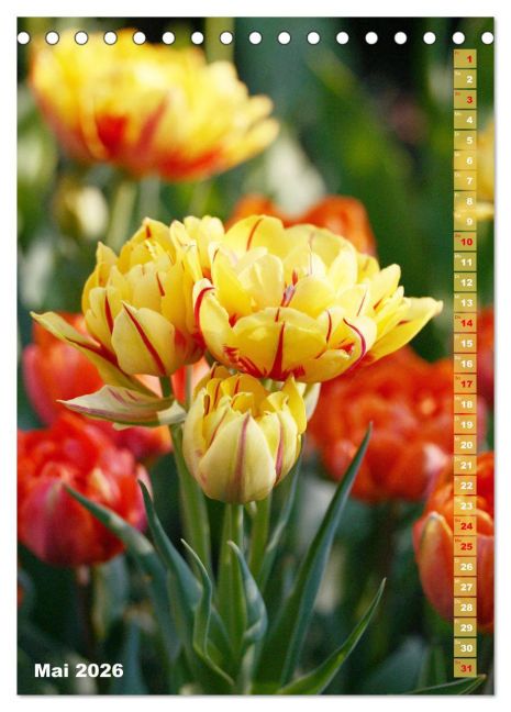 additionalImage10